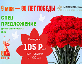 Специальное предложение к 80-летию Великой Победы от «Макси Флора»!