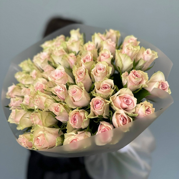 51 розовые розы кения   2